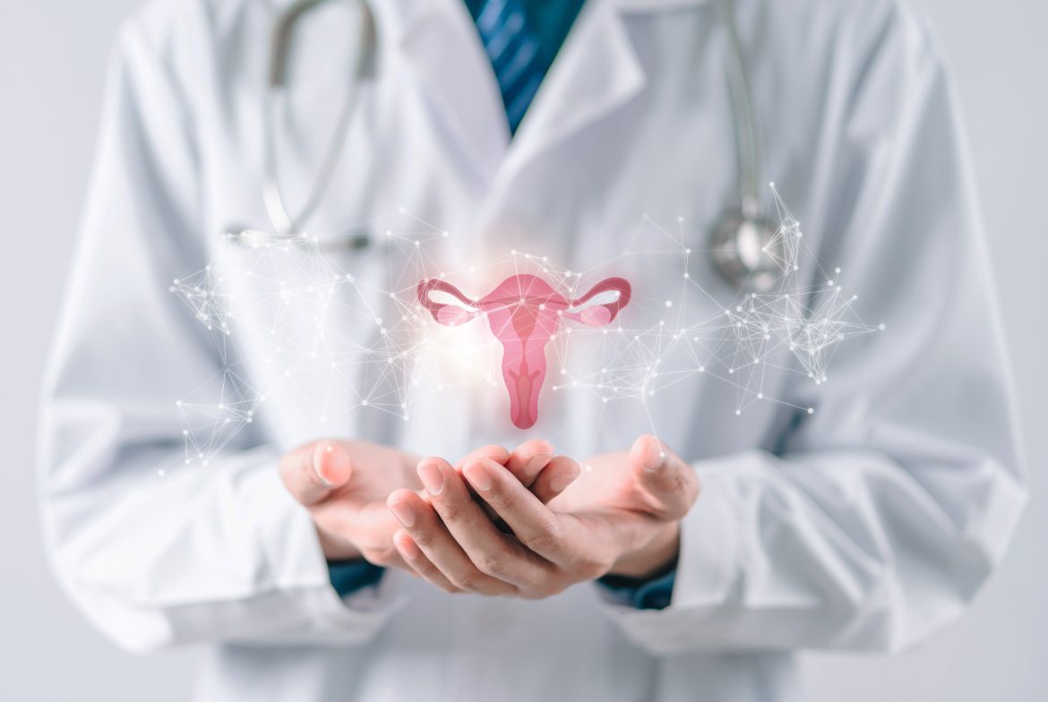 Doctor,In,A,White,Coat,Holding,Virtual,Uterus,Reproductive,System